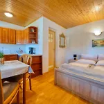 U Zdzicha Apartman Gowidlino