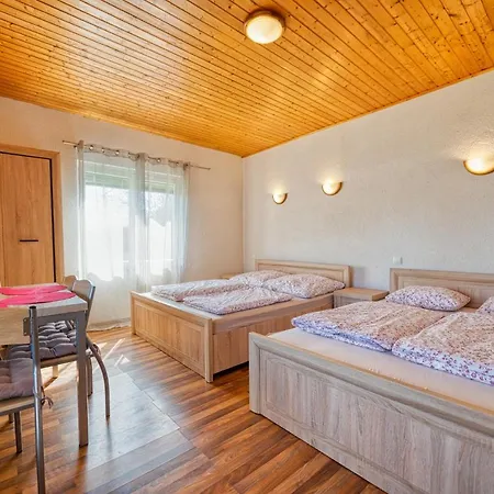 U Zdzicha Apartment *