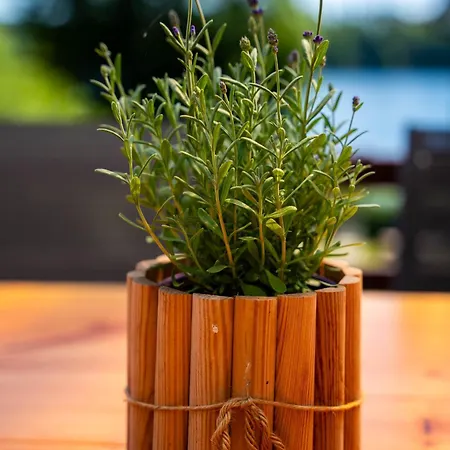 U Zdzicha * Gowidlino