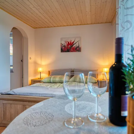 U Zdzicha 아파트 *