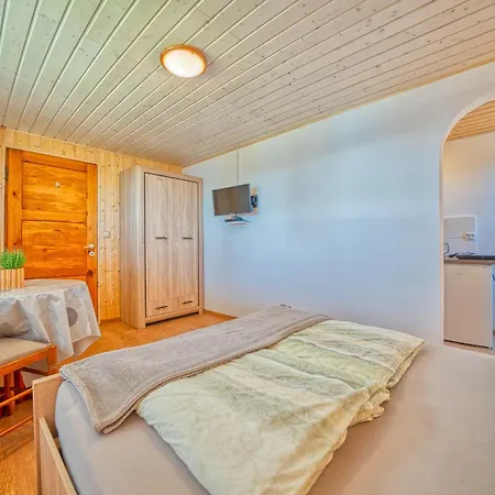 U Zdzicha Apartment Gowidlino