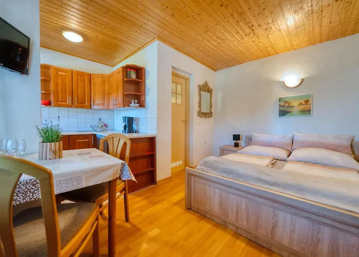 U Zdzicha Appartement Gowidlino