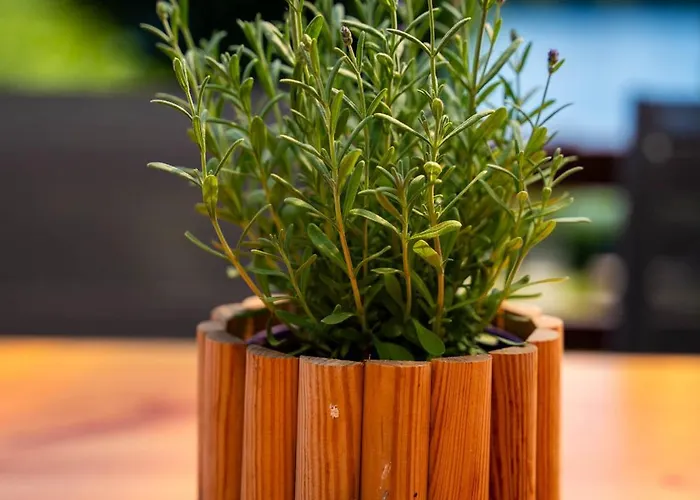 U Zdzicha * Gowidlino