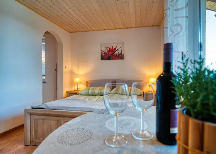 U Zdzicha Appartement *